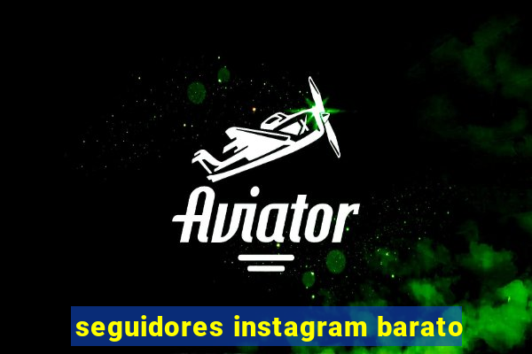 seguidores instagram barato