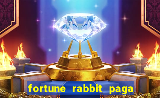 fortune rabbit paga mesmo Informational