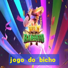 jogo do bicho pantera negra