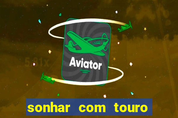 sonhar com touro bravo no mundo espiritual