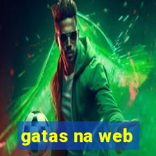 gatas na web