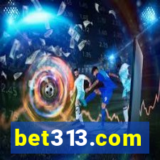 bet313.com