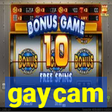 gaycam